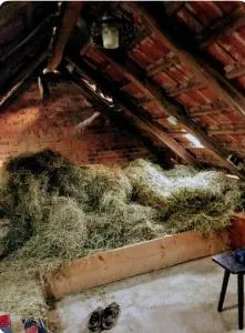 HEUHOTEL FARM Own sleeping bag Free WiFi - Lauchröden