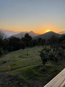 Oasis in the mountain, Quebrada Alvarado, Olmué