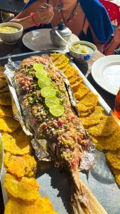 Tipiland baru la casa del mono