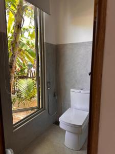 Palm Beach Kamburugamuwa