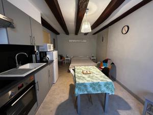 Studio centre La Roche-Posay, Wifi, parking gratuit - FR-1-541-161