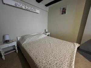 Studio centre La Roche-Posay, Wifi, parking gratuit - FR-1-541-161