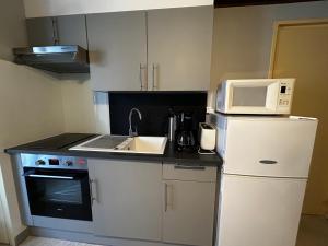 Appartements Studio centre La Roche-Posay, Wifi, parking gratuit - FR-1-541-161 : photos des chambres