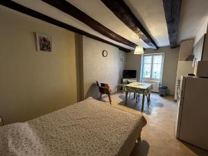 Studio centre La Roche-Posay, Wifi, parking gratuit - FR-1-541-161
