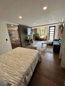 Condesa Metepec loft y jardín