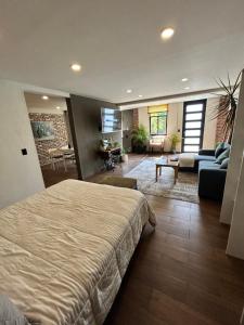 Condesa Metepec loft y jardín