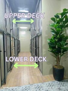 RDC- Baclaran Transient Capsule