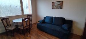 Apartment Most-Borovského