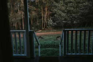 Two Brothers Cabin