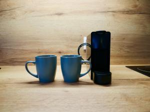 Appartements Experience Malouine - Appt T3-Coeur de Malo-Plage : photos des chambres