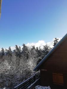 Chalets Gite Le Chalet SaintAntheme / Praboure : photos des chambres