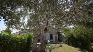 Welcomely -Villa Assunta img27