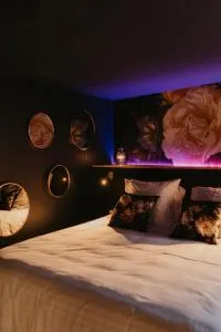 L'alcôve Clisson-gîte romantique-love room au coeur du vignoble nantais - Clisson