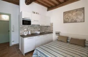 The Optimist's House - Megognano