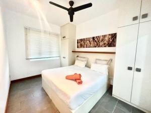 2 bedroom Coastal Appartment 50 m walk to the beach