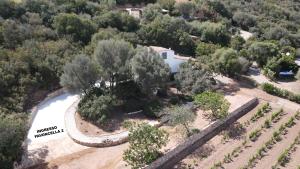 La PAVONCELLA 2 img23