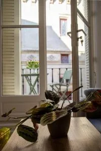 Le Banksy hyper centre avec terrasse - 尼奥尔