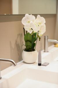 Modena Relax Luxury Rent Rooms