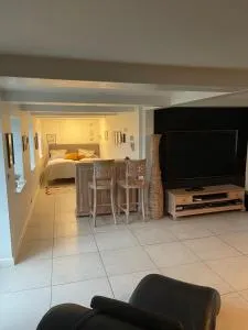 Large cozy living room with bedroom, bathroom - Rude