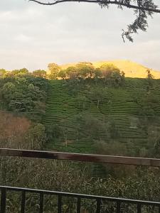 Vagmon golden valley