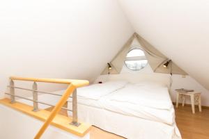 7 Windjammer