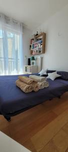 Appartements Chic & Cosy apartment - 60m2, 3 rooms : photos des chambres