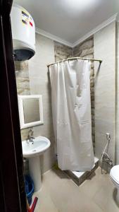 Sheikh Zayed Apartment is available forservices