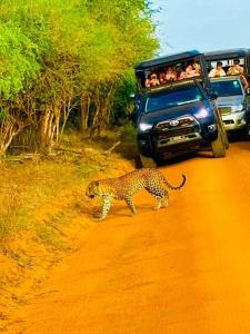 Tissa Yala Lake View Hotel