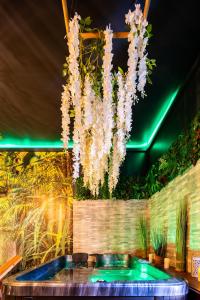 Love hotels Sweet Uni'vert Jacuzzi : photos des chambres