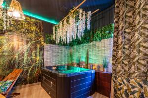 Love hotels Sweet Uni'vert Jacuzzi : photos des chambres