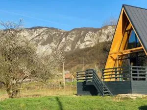 Sălciuella Dream Cabin - Vidolm