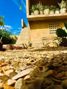 La maison du Baobab - Pointe-Sarène