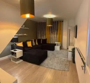 Warm spacious lovely house - 卡迪夫