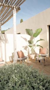 Hotels Toile Blanche : photos des chambres