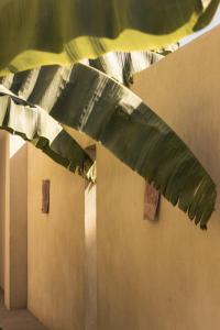 Hotels Toile Blanche : photos des chambres