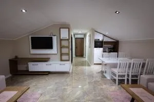 Vila Sofija Banja Vrujci - Mionica