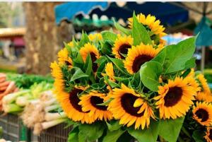 Maisons de vacances Gite des Tournesols : photos des chambres