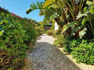 Seaview DArens Apartment