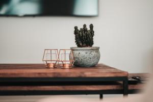 ZILTer - Groot duplex appartement met terras