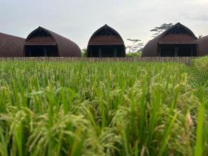 Villa Lumbung Sidemen