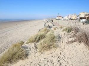 Appartement 3 chambres à Stella-plage avec parking et animaux admis - FR-1-236-163