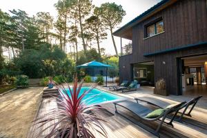 La Villa Canopée du Lac