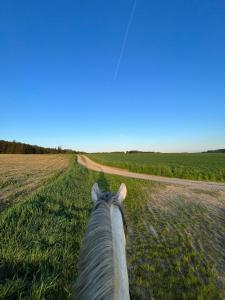Pferdegut Falkenberg Ferienwohnung