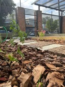 La Petrona - 上格拉西亚