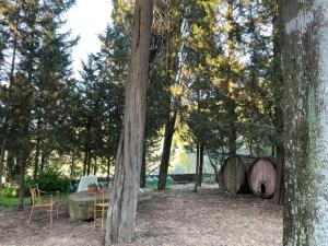 Appartamento con Vista Giardino
