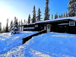 Large and cosy cabin, perfect location on Trysilfjellet! - Jordet i Trysil