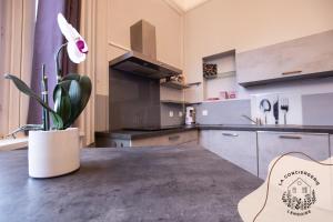 Ohana, appartement de charme, au centre de Lens