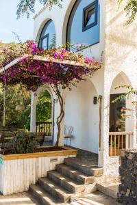 Casa Pausada Finca Cañas y Barro