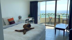 VIP 375 large studio, ocean view