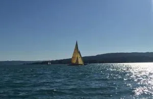 Joos Boardinghouse - Moos